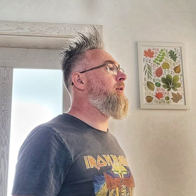 Portrait of Zoltán László