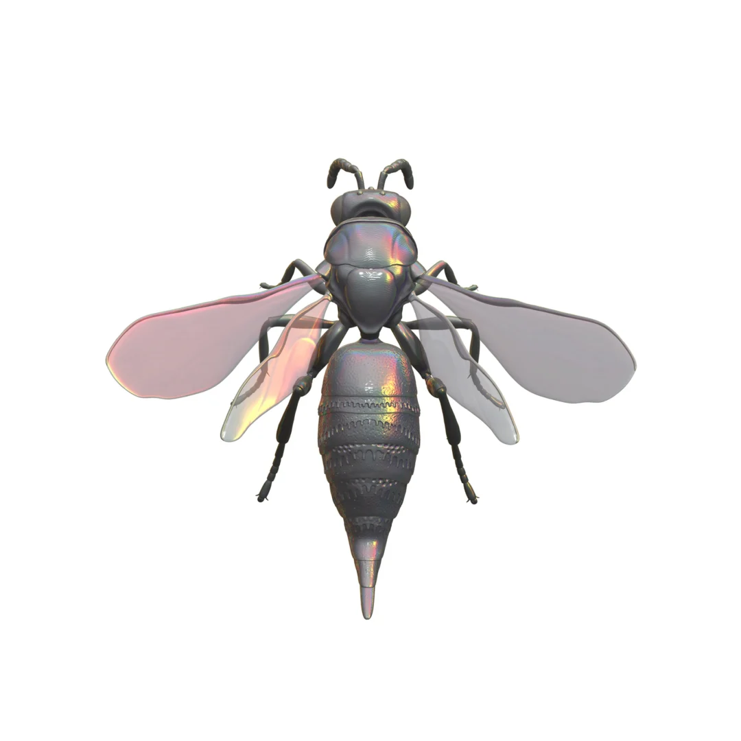 3D wasp image render