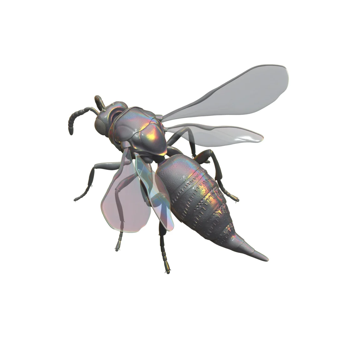 3D wasp image render